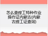 怎么查焊工特种作业操作证内蒙古(内蒙古焊工证查询)