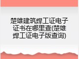 楚雄建筑焊工证电子证书在哪里查(楚雄焊工证电子版查询)