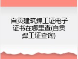 自贡建筑焊工证电子证书在哪里查(自贡焊工证查询)