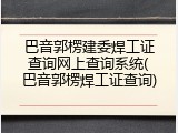 巴音郭楞建委焊工证查询网上查询系统(巴音郭楞焊工证查询)