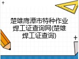 楚雄鹰潭市特种作业焊工证查询网(楚雄焊工证查询)