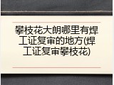 攀枝花大朗哪里有焊工证复审的地方(焊工证复审攀枝花)