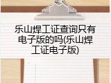 乐山焊工证查询只有电子版的吗(乐山焊工证电子版)