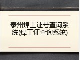 泰州焊工证号查询系统(焊工证查询系统)
