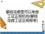 攀枝花哪里可以考焊工证正规机构(攀枝花焊工证正规报考)