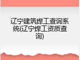 辽宁建筑焊工查询系统(辽宁焊工资质查询)