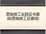 恩施焊工实践证书查询(恩施焊工证查询)