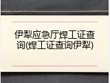 伊犁应急厅焊工证查询(焊工证查询伊犁)