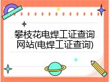 攀枝花电焊工证查询网站(电焊工证查询)