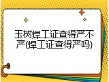玉树焊工证查得严不严(焊工证查得严吗)