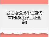 浙江电焊操作证查询官网(浙江焊工证查询)