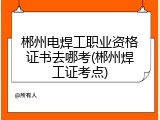 郴州电焊工职业资格证书去哪考(郴州焊工证考点)