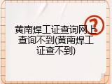 黄南焊工证查询网上查询不到(黄南焊工证查不到)